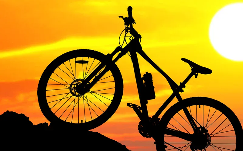 Biking Pursuits Along The Garden Route