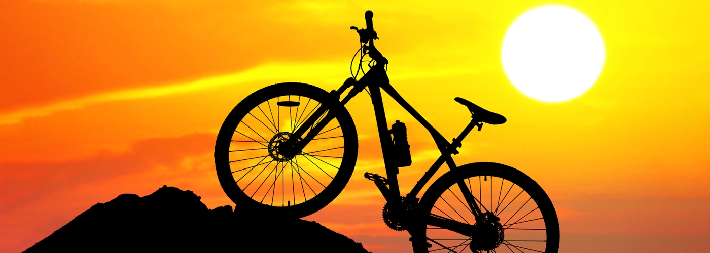 Biking Pursuits Along The Garden Route