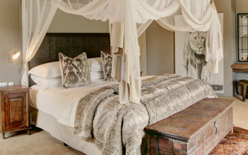 Reasons to Visit a Game Lodge in Winter