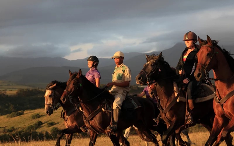 Horseback Riding in the Wild