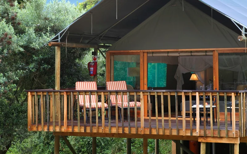 Glamping Experience in South Africa