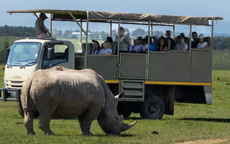 Day Visitor Safari Botlierskop