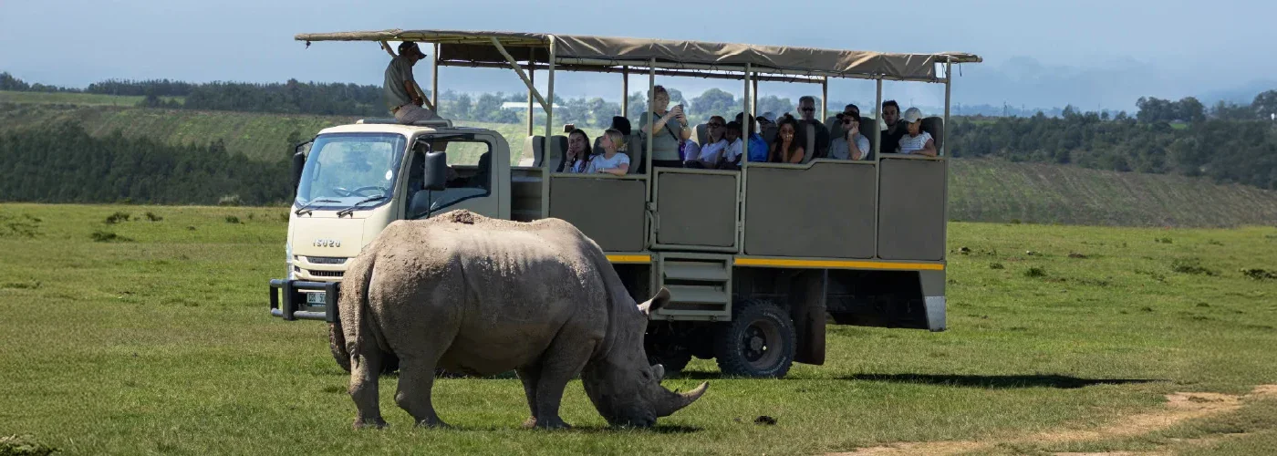Day Visitor Safari Botlierskop
