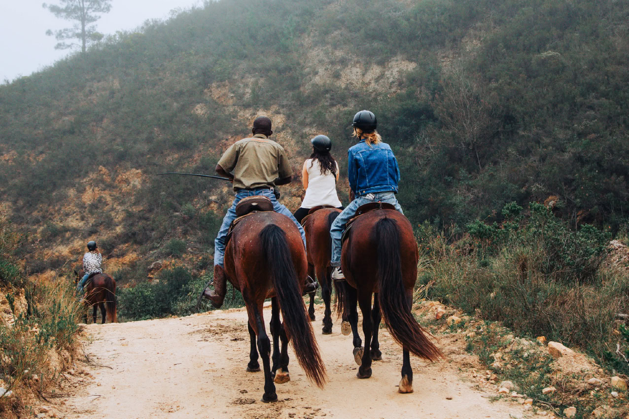 horse safaris 01