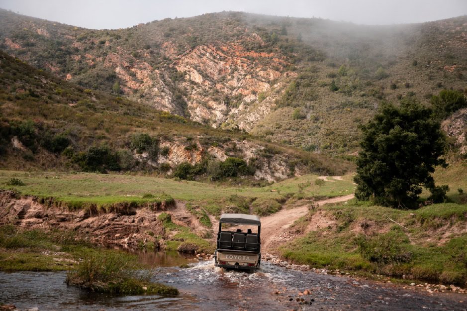Website Image game drive